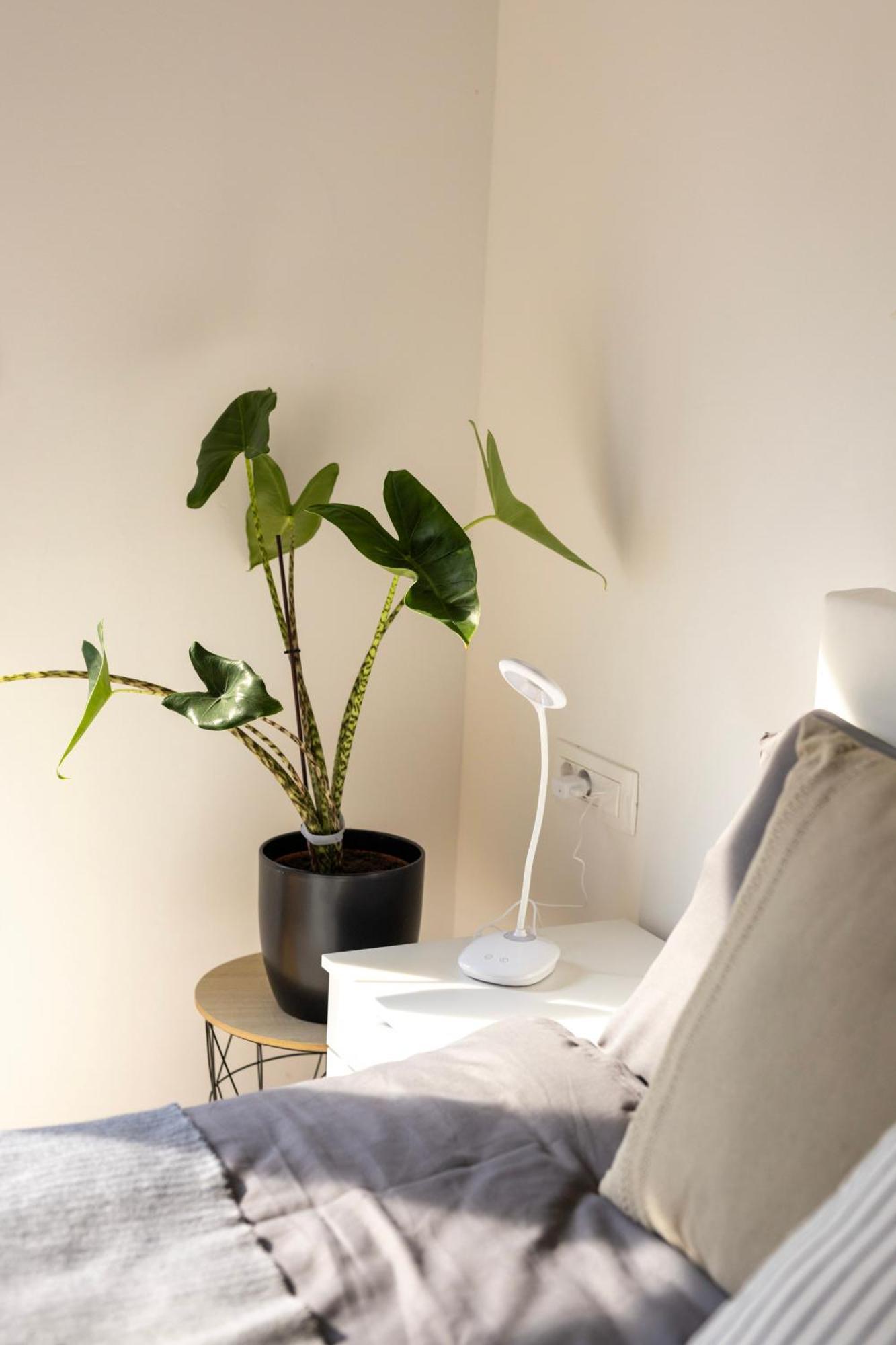Aura Apartments Zirovnica Dış mekan fotoğraf
